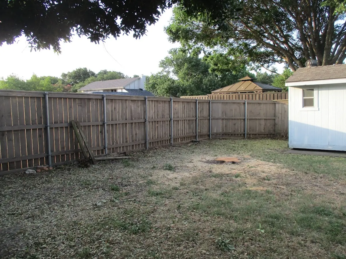Cleared yard after professional tree removal in Claysville